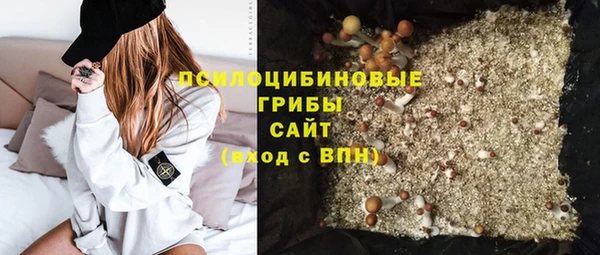 герыч Няндома