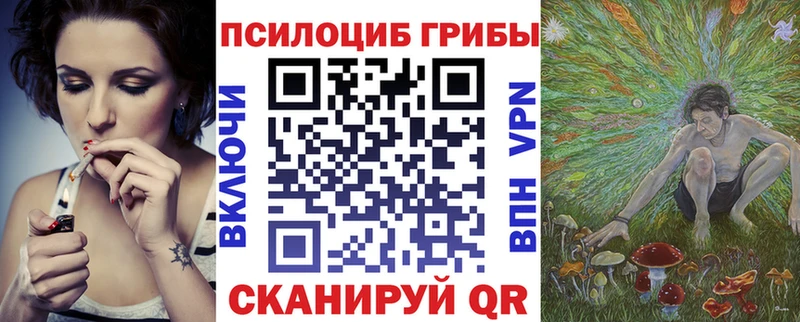Галлюциногенные грибы Psilocybine cubensis Ртищево